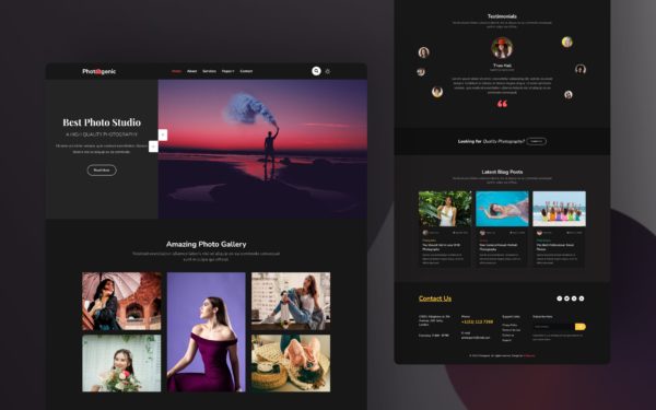 Bursa web site tasarımı